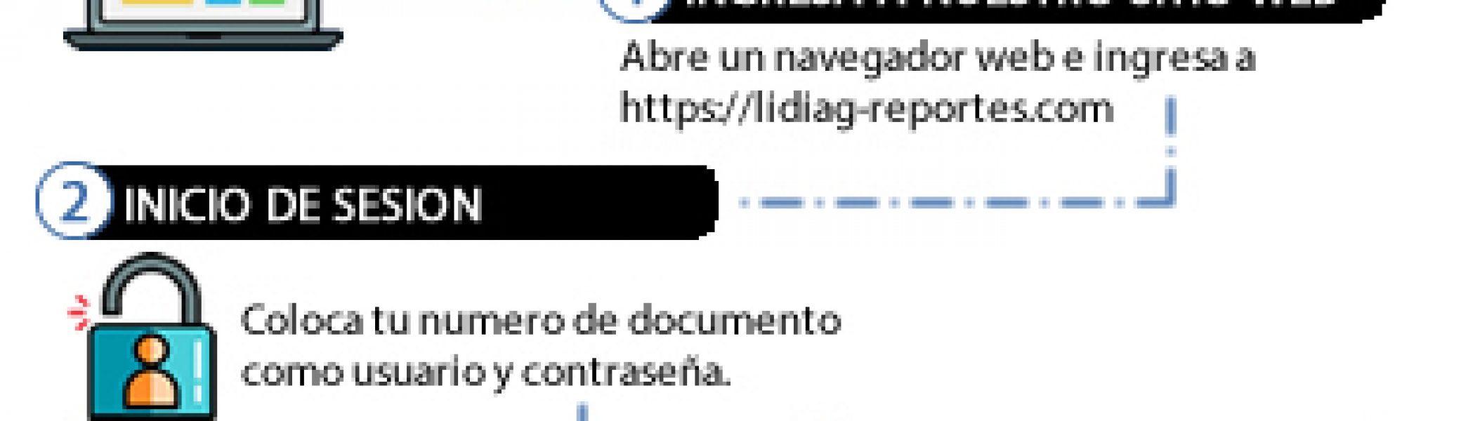 Paso a paso lidiag reportes (1)